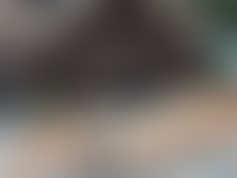 The Power of Curb Appeal: Why Landscaping Matters in the Home & Business