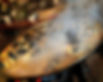 paella_3266.jpg