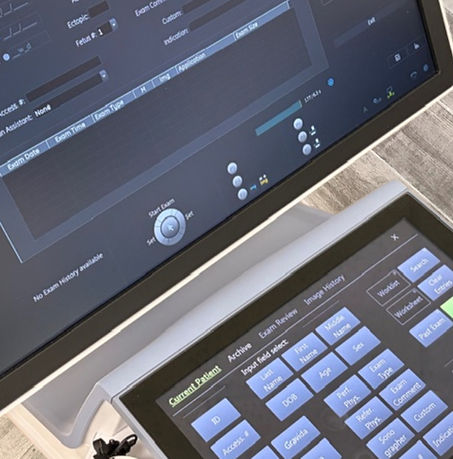 Untitled design_edited.jpg