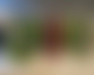 Juicing with a Blender