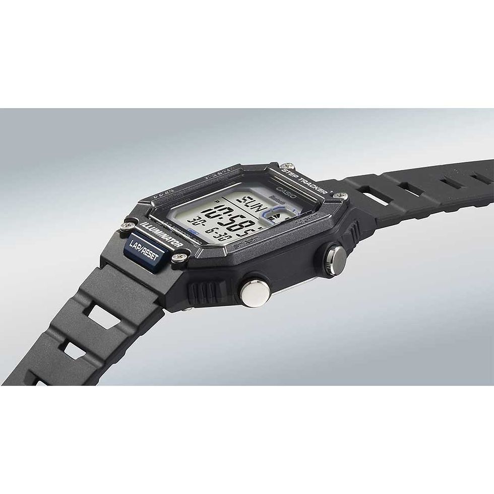 Miniatura: WS-B1000-1AV