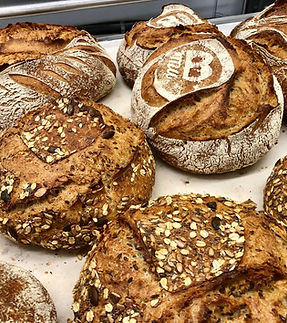 WhatsApp Image 2025-10-10 at 11.13.30 (1).jpeg