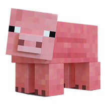 pig.png