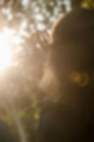 pexels-zandatsu-14805836.jpg