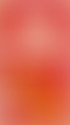 Against All Enemies Review