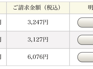 格安SIM12月分の明細が出ました
