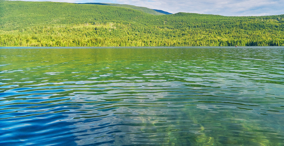 White Lake waters