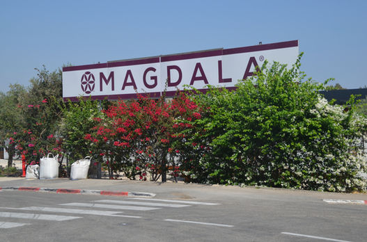 21-Magdala (1st Century Synagogue).jpeg