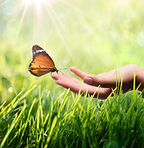 EC-ButterflyOnHand-shutterstock_172501724.jpg
