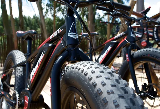 fantic fat bike