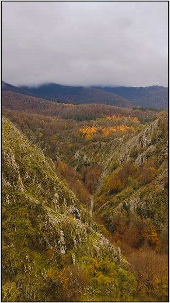 Monte en la zona de Arantzazu.