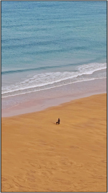 paseo con el perro por la playa en muskiz