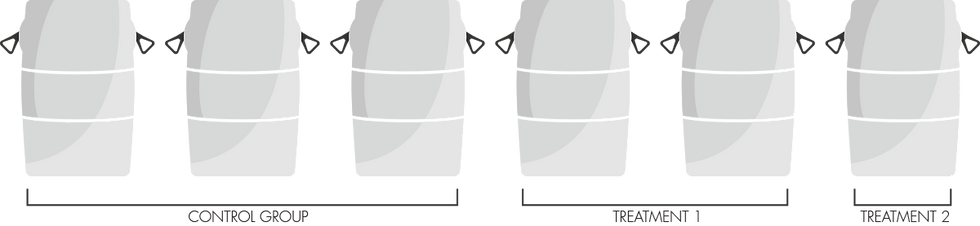 ree