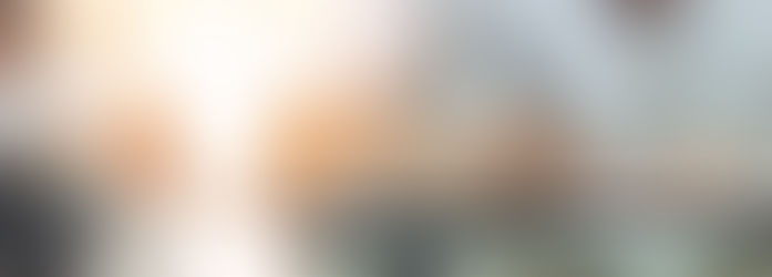 The SJT Part 1: A Short Introduction