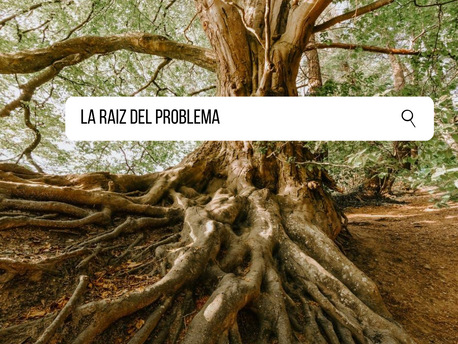 La raíz del problema
