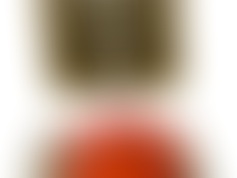 ✨ Nouveau livre — “Bruxelles, merde alors !” / “Brussels, You Gotta Be Shittin’ Me!”