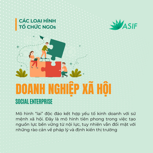 OVERVIEW OF NON-PROFIT ORGANIZATION MODELS IN VIETNAM 