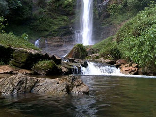 Envie sua experiência para livro sobre o Vale do Ribeira