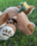 20250716_194323.jpg