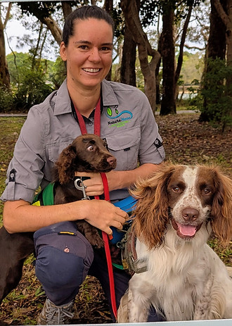 Detection Dog Services