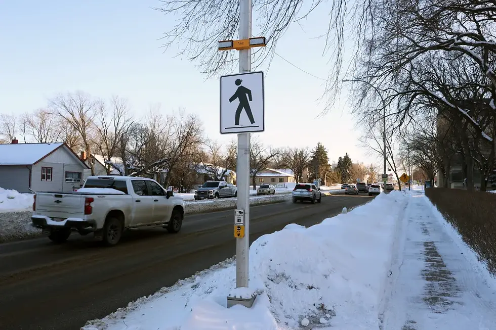 Snowy street scene with vehicles passing by, a pedestrian sign, snow-covered sidewalk, and bare trees. Wintery atmosphere.