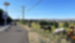 Person jogging on a paved path beside a field with horses grazing. A "Your Speed" sign and power lines are visible, under a clear blue sky.
