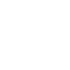 Design uden navn (6).png