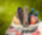 Design uden navn (30).png