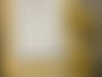 MILLENNIUM GLOBAL INTERNATIONAL SCHOOL SHINES AT THE AFRICA SUSTAINABILITY & CSR CONGRESS