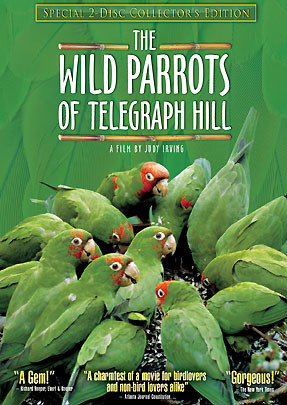 Wild Parrots DVD: Double-Disc Collector's Edition | pelicanmedia