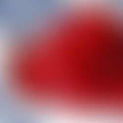 Gelatina sin grenetina