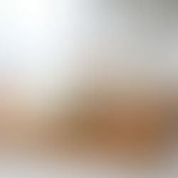 leche y queso fresco de almendra