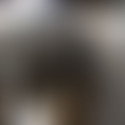 VIDEO: Exhiben la tortura y sufrimiento en más de 30 rastros en México