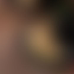 Dumplings rellenos de tofu