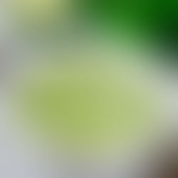 Dip de cilantro cremoso y alto en proteína