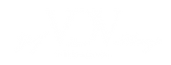 VDV white logo