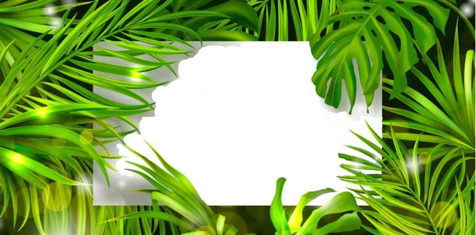 tropical leaves - white card.jpg