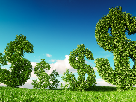 WRI: país pode crescer 38% mais até 2030 com a economia verde