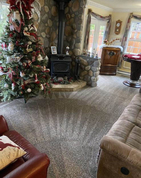 Cleaning Services for Pet Odors and Carpets