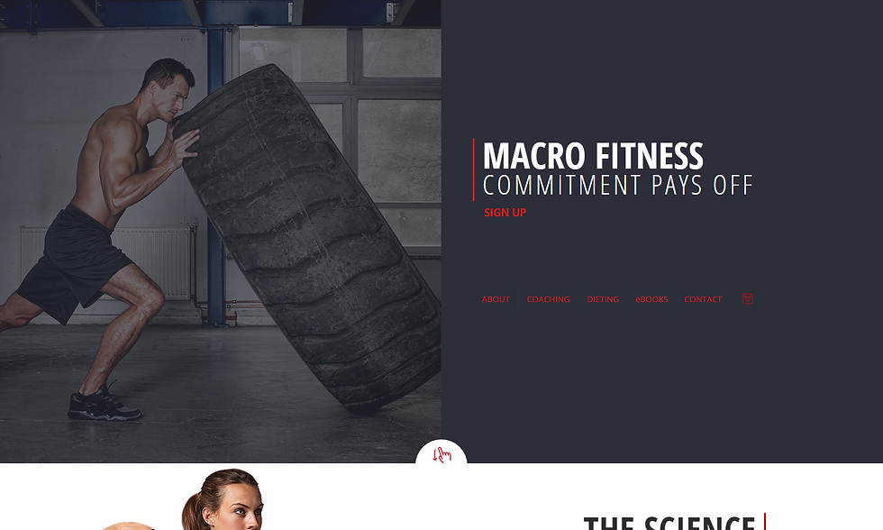 WEBSITE CONCEPT SAMPLE 111