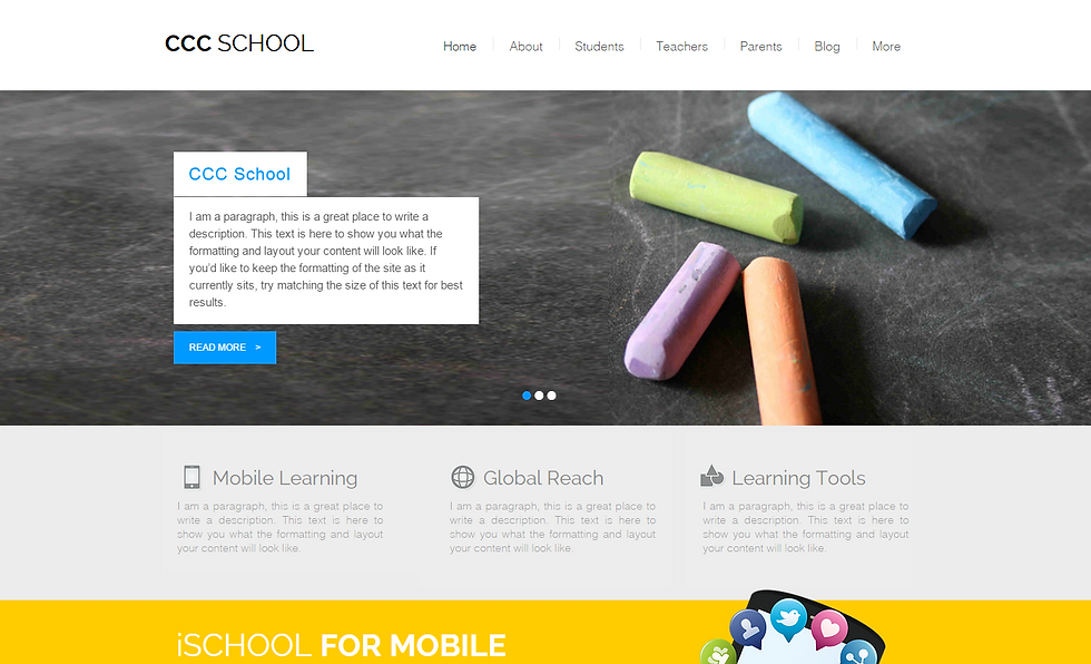WEBSITE CONCEPT SAMPLE 120