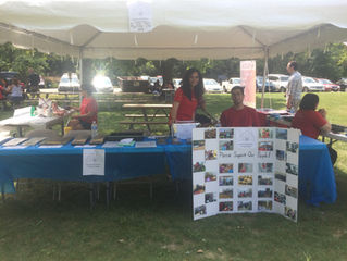 Annual Fundraising Picnic in Chicago Draws a Crowd