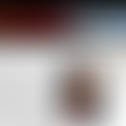 Angelina Darrisaw (MA ’10) Putting “Beauty in Action”