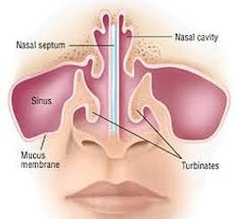 Dr. John Diaz Breast Rhinoplasty Specialist