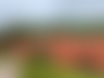 Auftaktsiege für die ECE Herren und Herren 70, knappe Niederlage für die Herren 30