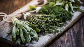 Les herbes aromatiques en cuisine