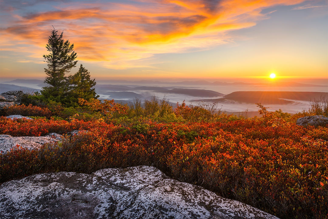Sunrise over the Allegheny Front from atop Bear Rocks in West Virginia's Dolly Sods Wilder