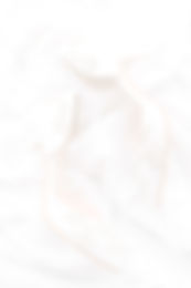 0J7A2242_edited.jpg