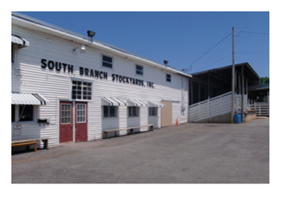 South Branch Valley Livestock Exchange