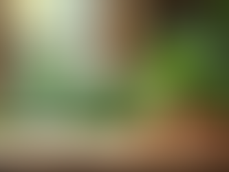 Top Home Décor and Interior Design Trends to Watch in 2025